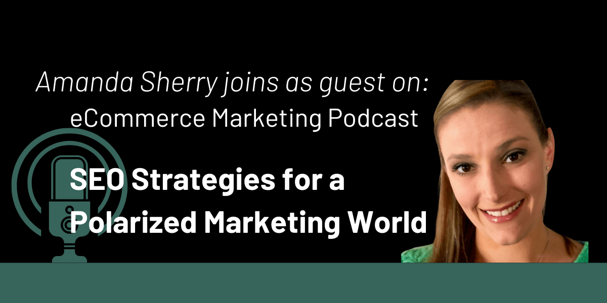 eCommerce Marketing Podcast: SEO Strategies for a Polarized Marketing World