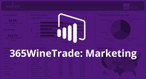 Power BI Interactive Dashboard: 365WineTrade Marketing