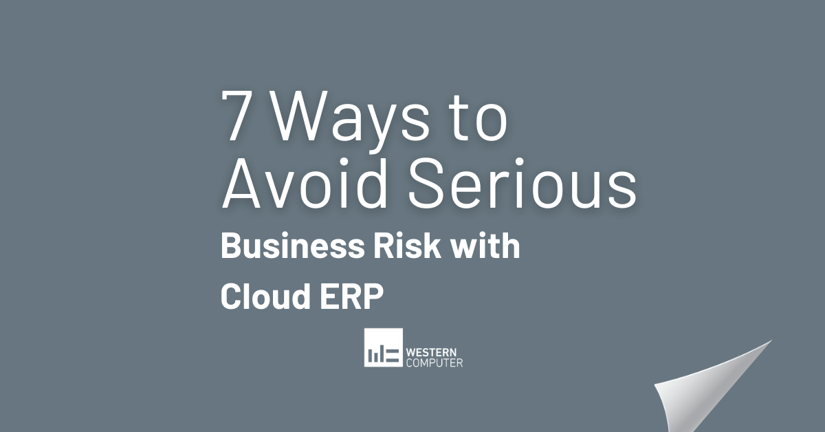 7 Ways to Avoid Serious Business Risk with Cloud ERP
