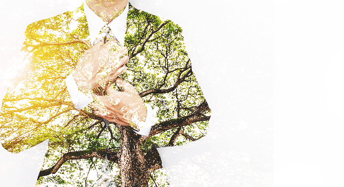 Western Computer and Microsoft: Your Partners in Sustainability