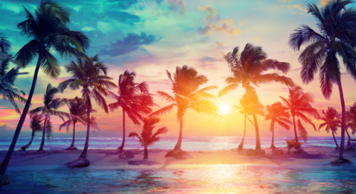 Join us at User Group Summit 2019 in Florida and SAVE!