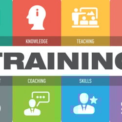 Using Jet Reports Professional to Gain Game-Changing Insights