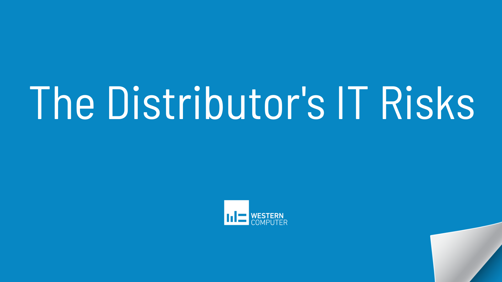 The Distributor's IT Risks