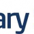 Binary Stream